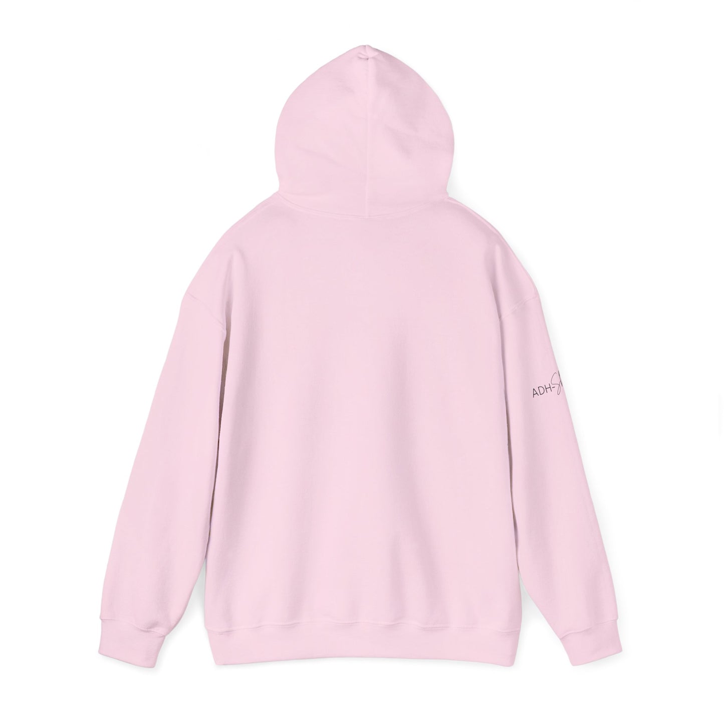Don't Put It Down - Put It Away Hoodie