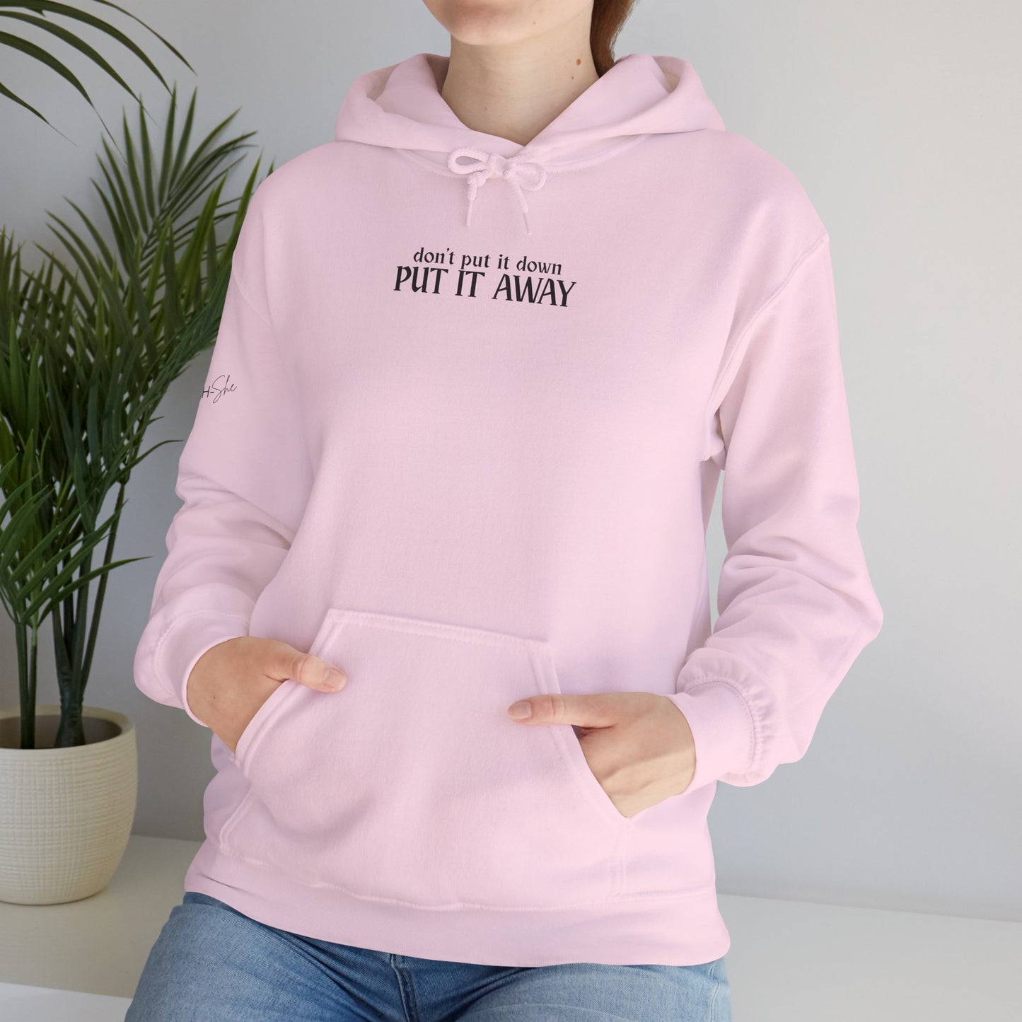 Don't Put It Down - Put It Away Hoodie