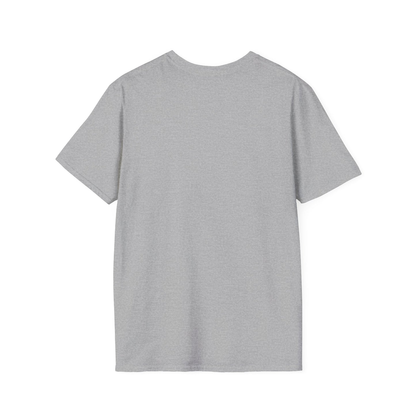Don't Put It Down, Put It Away Tee